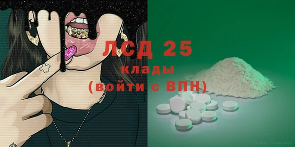 PSILOCYBIN Ельня