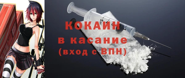 PSILOCYBIN Ельня