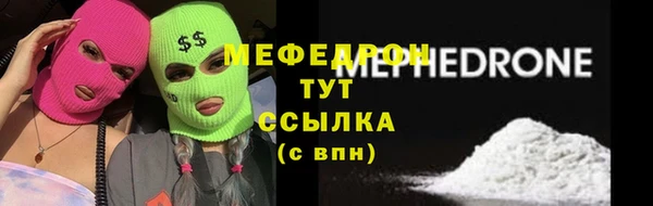 PSILOCYBIN Ельня