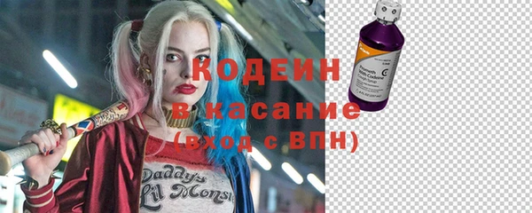 PSILOCYBIN Ельня