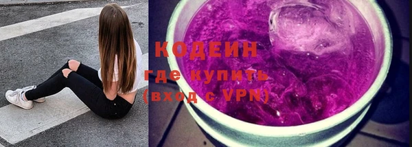 PSILOCYBIN Ельня