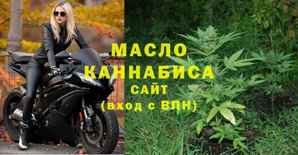PSILOCYBIN Ельня