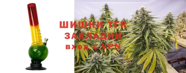 PSILOCYBIN Ельня